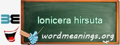WordMeaning blackboard for lonicera hirsuta